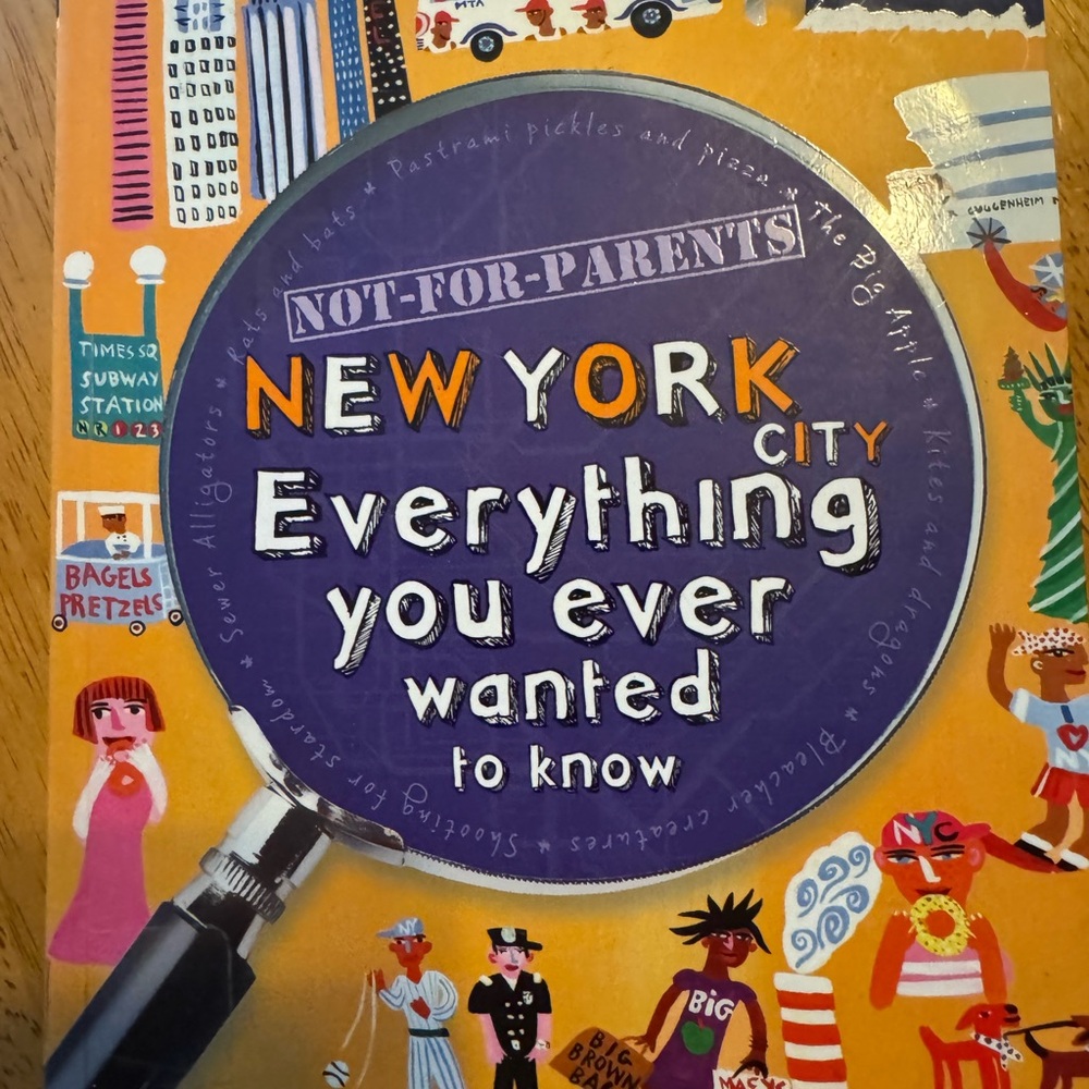 New York City Lonely Planet Travel Book